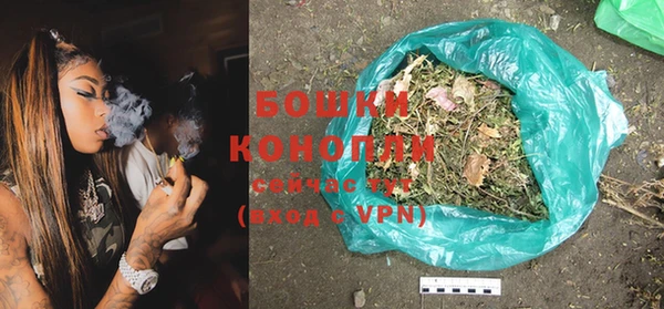 прущие грибы Балахна