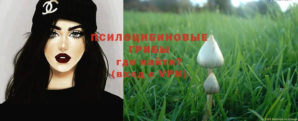 прущие грибы Балахна