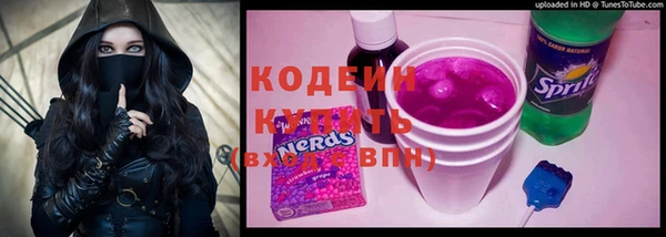 прущие грибы Балахна