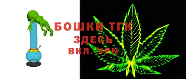 прущие грибы Балахна