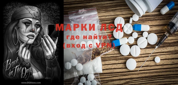 прущие грибы Балахна