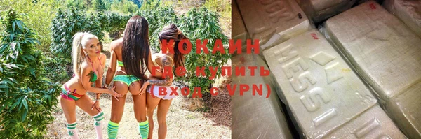 прущие грибы Балахна