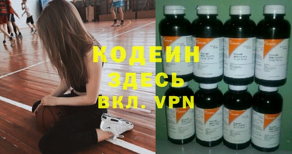 прущие грибы Балахна