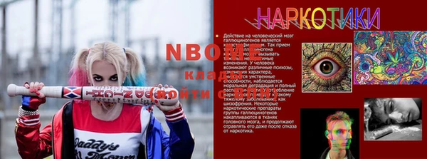 прущие грибы Балахна
