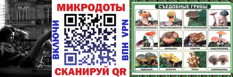 Галлюциногенные грибы Cubensis  Пудож 